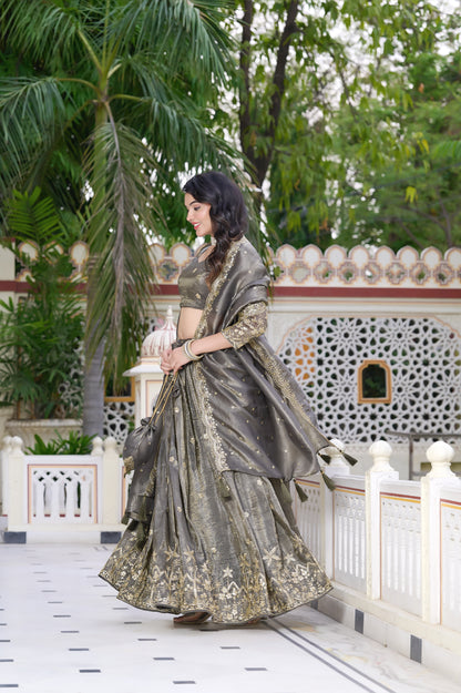 Moonstone Grey Embroidered Lehenga