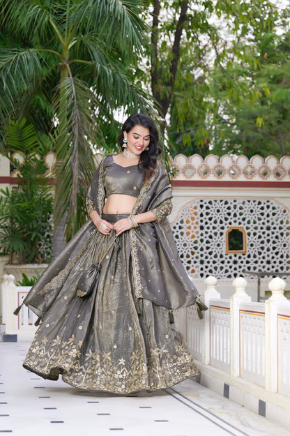 Moonstone Grey Embroidered Lehenga