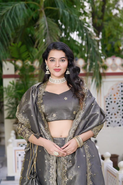 Moonstone Grey Embroidered Lehenga